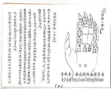 达摩一掌经 达摩一掌经 达摩一掌经-简要介绍，达摩一掌经-中国佛学