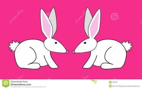 兔子简介 兔子视频 兔子视频-简介，兔子视频-品牌标示
