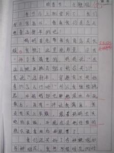 关于春节的作文600字 新年作文600字