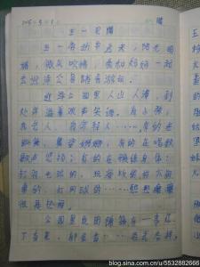 五一见闻作文 五一见闻作文600字