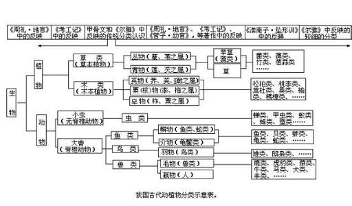 无脊椎动物分类 无脊椎动物 无脊椎动物-区分依据，无脊椎动物-分类