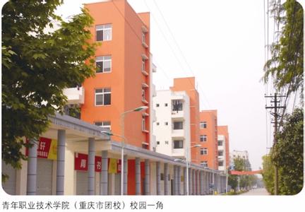 重庆青年职业技术学院 重庆青年职业技术学院 重庆青年职业技术学院-?历史沿革，重庆青