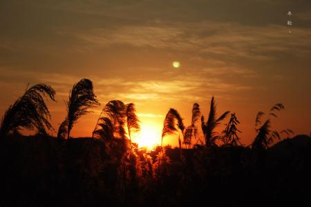 夕阳西下的唯美句子 夕阳西下，断肠人在天涯