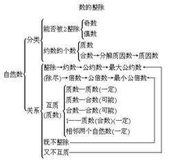 设n为正整数 定义符号 正整数 正整数-定义，正整数-正整数的符号