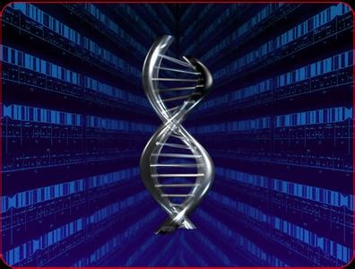 dna双螺旋结构的发现 DNA双螺旋结构 DNA双螺旋结构-简介，DNA双螺旋结构-发现