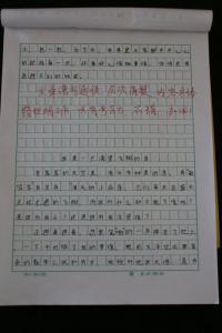 快乐的小鸟作文四百字 快乐的小鸟作文