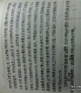 清明扫墓作文300字 清明扫墓作文400字