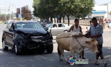 老牛拉破车 歇后语 老牛拉破车