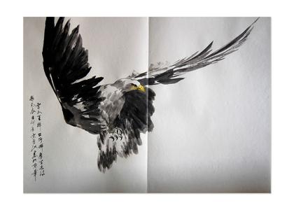 国画鹰作品图片 向鹰 向鹰-其他信息，向鹰-个人作品
