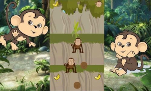 世界自然奇观介绍 《自然世界 聪明的猴子》 《自然世界 聪明的猴子》-内容介绍