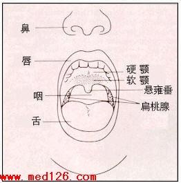 成骨不全 成骨不全 成骨不全-概述，成骨不全-流行病学