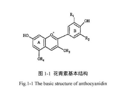 花色苷和花青素 花色苷 花色苷-花色苷与花青素，花色苷-药理研究