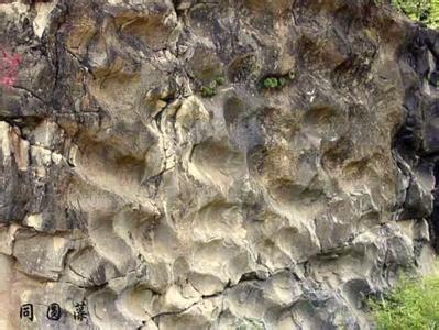 叠层石 叠层石 叠层石-概述，叠层石-形态