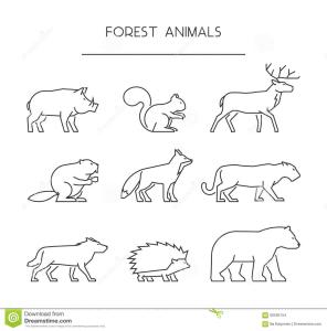 形态特征 线形动物门 线形动物门-概述，线形动物门-形态特征