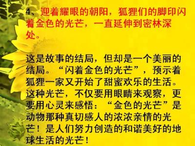 金色的脚印教学设计 24 《金色的脚印》教学设计