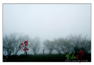 春雨绵绵妻独宿的下联 春雨绵绵妻独宿