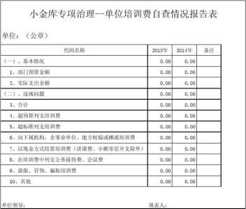 广西小金库治理 自查 清理小金库自查报告