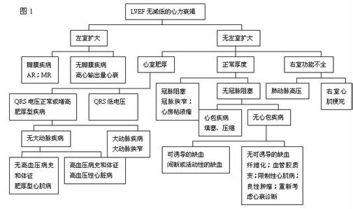 心源性休克临床表现 心源性休克 心源性休克-病因，心源性休克-临床表现