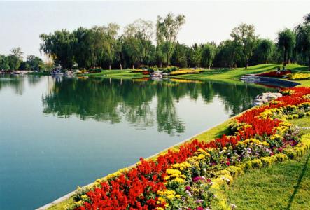 广州植物园风景图片 北京植物园风景图片