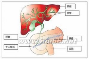 肝内胆管结石 肝内胆管结石 肝内胆管结石-疾病概况，肝内胆管结石-疾病分类