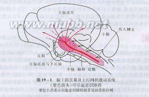 意识障碍病因ppt 意识障碍 意识障碍-发生机制，意识障碍-病因