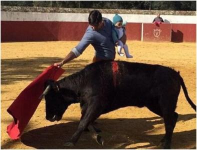 西班牙斗牛犬简介 西班牙斗牛士 西班牙斗牛士-《西班牙斗牛士》简介，西班牙斗牛士