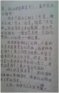 关于母亲节的作文300字 母亲节的礼物作文300字