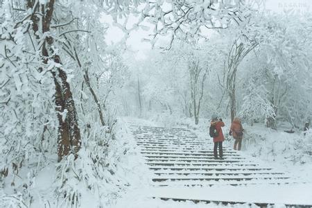 下雪天图片 下雪天