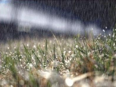 《雨说》诗句 《雨说》