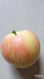 栖霞苹果 栖霞苹果 栖霞苹果-种植技术，栖霞苹果-所获名誉