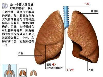 肺纤维化去世时痛苦吗 肺纤维化的症状表现