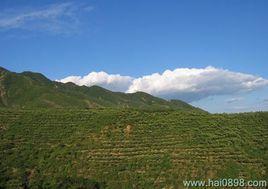 个人简介范文参考 黎山 黎山-简介，黎山-参考资料