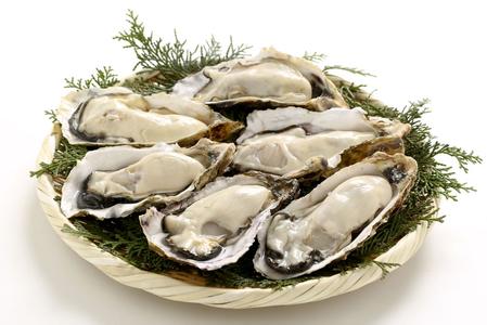 牡蛎 牡蛎-外形特征，牡蛎-生活习性