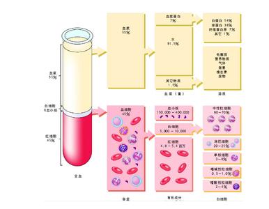 血浆脂蛋白的组成 血浆蛋白 血浆蛋白-概述，血浆蛋白-组成