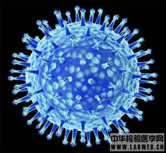 禽流感病毒病原学 流感 流感-病原学，流感-流行病学