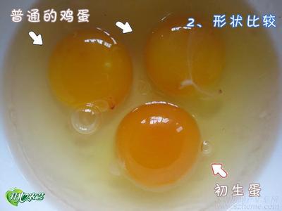 鸡蛋的营养价值 乌鸡蛋 乌鸡蛋-简介，乌鸡蛋-营养价值