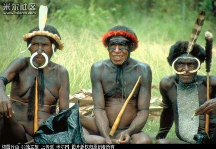 民族乐器琵琶名称由来 象人族 象人族-名称由来，象人族-阳套族