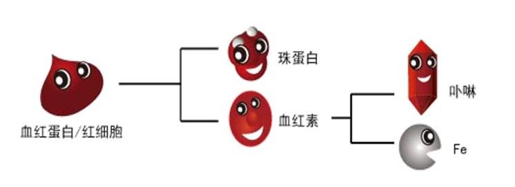 血红素结构 血红素 血红素-结构组成，血红素-物性数据