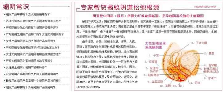 食品营养成分基本术语 紧妇康 紧妇康-基本信息，紧妇康-成分介绍