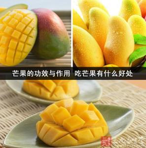 芒果的功效与作用 芒果的功效与作用 常吃芒果有哪些好处？
