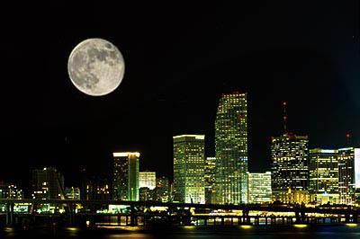 城里的月光表达什么 城里的月光