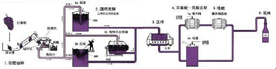 自制葡萄酒的危害 葡萄酒的酿制方法