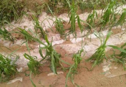 冰雹灾害 冰雹灾害 冰雹灾害-　冰雹（Hail），冰雹灾害-冰雹形成