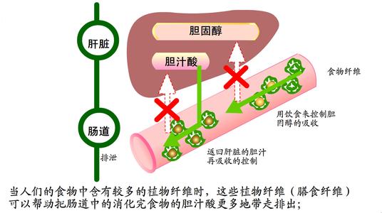 胆汁成分 胆汁 胆汁-基本概述，胆汁-性质成分