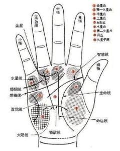 手上有这种纹一生富贵 最具富贵命的手相