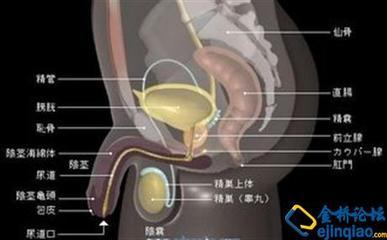 男性排尿疼痛 男性排尿疼痛的病因是什么