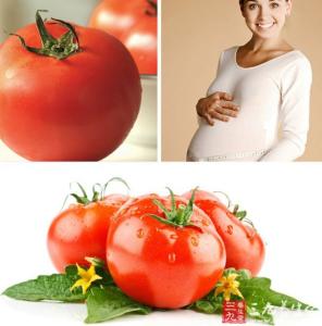 怀孕初期可以吃西红柿 怀孕可以吃西红柿吗？