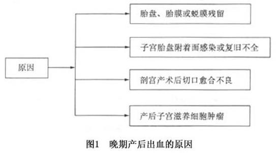 产后出血的病因 晚期产后出血 晚期产后出血-定义，晚期产后出血-病因