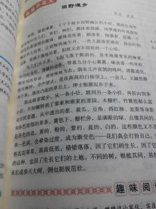 难忘的经历作文800字 记一次难忘的经历作文800字