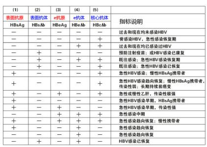 乙肝两对半对照表 乙肝两对半 乙肝两对半-检查对照，乙肝两对半-指标意义